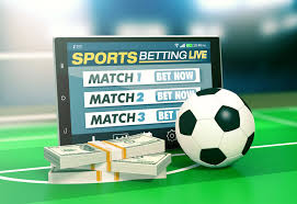 Exploring the World of 1xBet Your Guide to Online Betting