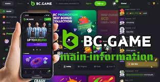 Accessing the Working BC.Game Link Your Guide to Online Gaming