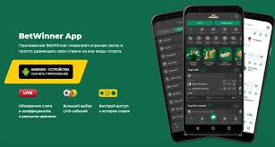Discover BetWinner Platform Your Gateway to Online Betting