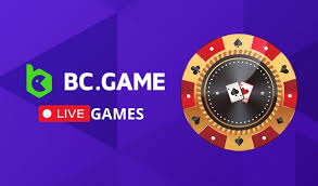 Understanding the BC.Game Verification Process