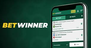 BetWinner vs BC.Game A Comprehensive Comparison for Online Betting Enthusiasts