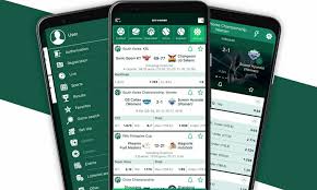 Comprehensive BetWinner Benin Review A Comprehensive Look at Online Betting