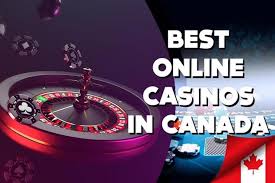 The Evolution and Future of Top Gambling Experiences