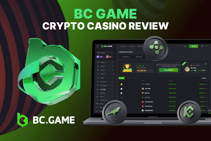 Understanding the BC.Game Mirror Login Process -226849369
